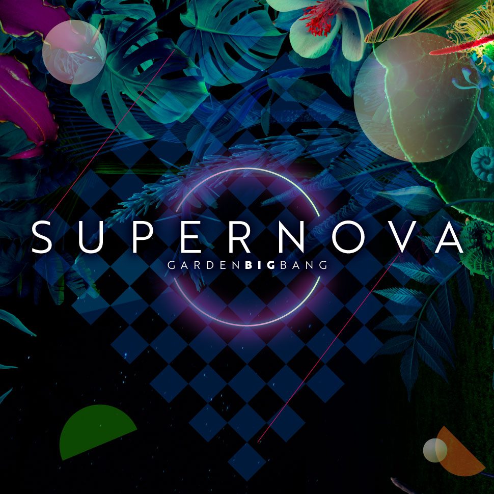 Supernova x HIVE